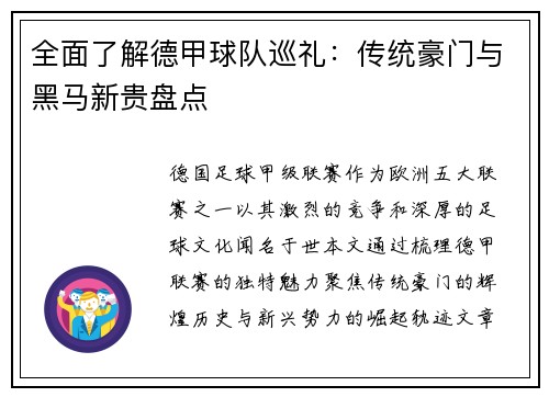 全面了解德甲球队巡礼：传统豪门与黑马新贵盘点